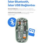 Ronanna Bluetooth USB Çift Modlu Sessiz Mouse, Şeffaf Mıknatıslı Kapaklı, Type-C Şarjlı, Dpı Ayarlı, Kablosuz 10M Çekim Mesafeli, Masaüstü Kısayol Tuşlu, Taşınabilir Şarjlı Mouse Siyah ( Lisinya )