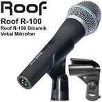 Roof R100 Profesyonel Kablolu El Mikrofon
