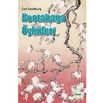 Rootabaga Öyküleri - Carl Sandburg