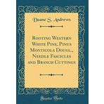 Rooting Western White Pine, Pinus Monticola Dougl., Needle Fascicles and Branch Cuttings (Classic Reprint)