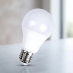 Rose AR-110 10W E27 Beyaz LED Ampul