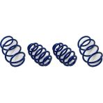Rose Bmw E46 Helezon Yayı Set: 4AD Mavi -Sport- - B A31331093065