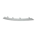 Rose Bmw E89 (Z4) Tampon Izgara Çitası Ön Sol; Mat-Alüminyum - 2009-16 B A51117203795