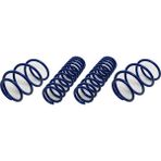 Rose Bmw F22 F23 Helezon Yayı Set: 4AD Mavi -Sport- - B A31336778109
