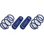Rose Bmw F30 F32 F36 Helezon Yayı Set: 4AD Mavi -Sport- - B A31336851709