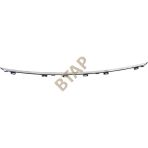 Rose Bmw F30LCI Luxury Tampon Çıtası Ön Orta 51117396833