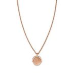Rosefield Sunray Rose JTNCRG J449 Çelik Kolye