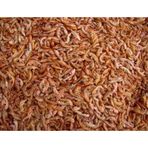 Rotifish 1 kg Gammarus Kurutulmuş Karides Balık ve Kaplumbağa Yemi