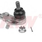 ROTİL ALT AVENSIS (T25) 1.6 VVTİ-1.8-2.0-2.4-2.0 D-4D (03-08)