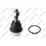 ROTIL ÖN ALT DODGE DAKOTA 2005-2010 TEKNOROT DO-304
