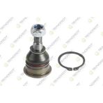Rotil Ön Alt Nıssan Almera N16 00 06 Prımera P12 02 08