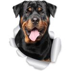 Rottweiler köpek araba Sticker 18CM etiket Yapıştırma