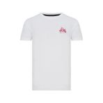 Routefield RFTREE23 Tree Beyaz Erkek T-shirt