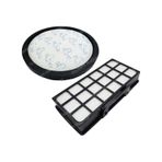 Rowenta İle Uyumlu RO 6921 Xtrem Power Cyclonic Hepa ve Hazne İçi Filtre