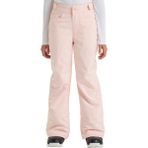 Roxy Backyard Pt Kız Çocuk Snowboard Pantolonu - Renkli - 14 Yaş