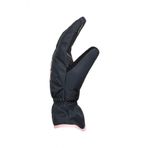 Roxy ERJHN03207 Fresh Fields Insulated Siyah Kadın Kayak Eldiveni