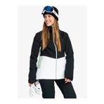 Roxy Peakside Technical Snow Jacket Kadın Kayak Montu