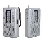 Roxy Tenor Cep Tipi Mini Analog Radyo