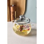 Roy Silver 1200 ml Borosilikat Cam Tencere - Şeffaf - 20 cm