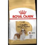 Royal Canin 1.5 kg Dog BHN Cavalier Köpek Maması