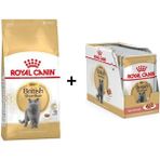 Royal Canin 10 kg British Shorthair Yetişkin Kedi Maması + 12x85 gr Royal Canin British Shorthair Yaş Kedi Maması