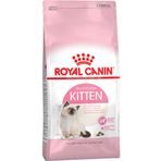 Royal Canin 10 kg Cat Fhn 36 Kitten Kuru Kedi Maması