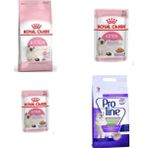 Royal Canın 10 kg Kıtten Kedi Maması Royal Canın Kıtten Jel Mama 2 Adet Prolıne Lavanta 10 lt Kedi Kumu