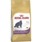 Royal Canin 10 kg Yetişkin Kedi Maması British Shorthair İçin Mısır Tatlı Premium Kalite