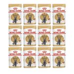 Royal Canin 12x85 gr British Shorthair Kedi Maması