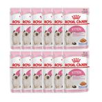 Royal Canin 12x85 gr Jelly Kitten Yaş Yavru Kedi Maması