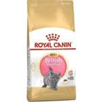 Royal Canin 2 kg British Shorthair Yavru Kuru Kedi Maması