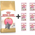 Royal Canin 2 kg Kitten British Shorthair Yavru Kedi Maması + 6 Adet Yaş Mama