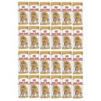 Royal Canin 24x85 gr Adult Poodle Caniche Tüy Sağlığı Destekleyici Yetişkin Köpek Konservesi