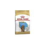 Royal Canin 3 kg Cocker Yavru Köpek Kuru Maması