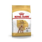 Royal Canin 3 kg Dog Poodle Junior Köpek Maması