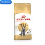 Royal Canin 4 kg Açık British Shorthair Yetişkin Kuru Kedi Maması