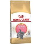 Royal Canin 4 kg British Yavru Kedi Maması