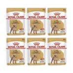 Royal Canin 6x85 gr Adult Poodle Caniche Tüy Sağlığı Destekleyici Yetişkin Köpek Konservesi
