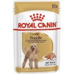 Royal Canin 85 gr Adult Poodle Caniche Tüy Sağlığı Destekleyici Yetişkin Köpek Konservesi