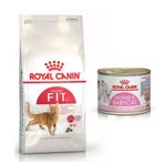 Royal Canin Adult Yetişkin Fit 32 2 kg Kedi Mama + Mother and Baby 195 gr Yaş Kedi Mama