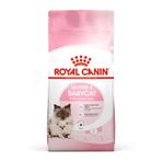 Royal Canin Anne ve Yavru Kedi İçin Kuru Mama 4 Kg