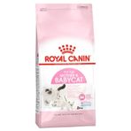 Royal Canin Babycat 2 kg Yavru Kuru Kedi Maması