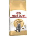 Royal Canin Biritsh Shorthair Cinsi Üretilmiş Adult BS Cat Food 4 kg Kedi Kuru Kedi Maması