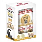 Royal Canin BOX British Shorthair Irk Kedi Maması 2 Kg + 2 Adet Royal Canin British 85 Gr Yaş Mama