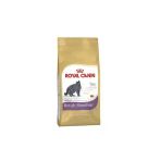 Royal Canin British Özel Irk Kedi Maması 10Kg