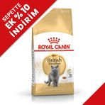Royal Canin British Shorthair 10 kg Irk Kedi Maması + Temizlik Mendili