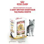 Royal Canin British Shorthair 2 Kg + 2 Adet 85 Gr Yaş Mama