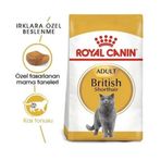 Royal Canin British Shorthair 2 kg Kuru Kedi Maması