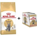 Royal Canin British Shorthair 2 kg Yetişkin Kedi Maması + 12 Adet Yaş Mama