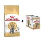 Royal Canin British Shorthair 4 kg Yetişkin Kedi Maması + 12 Adet Yaş Mama